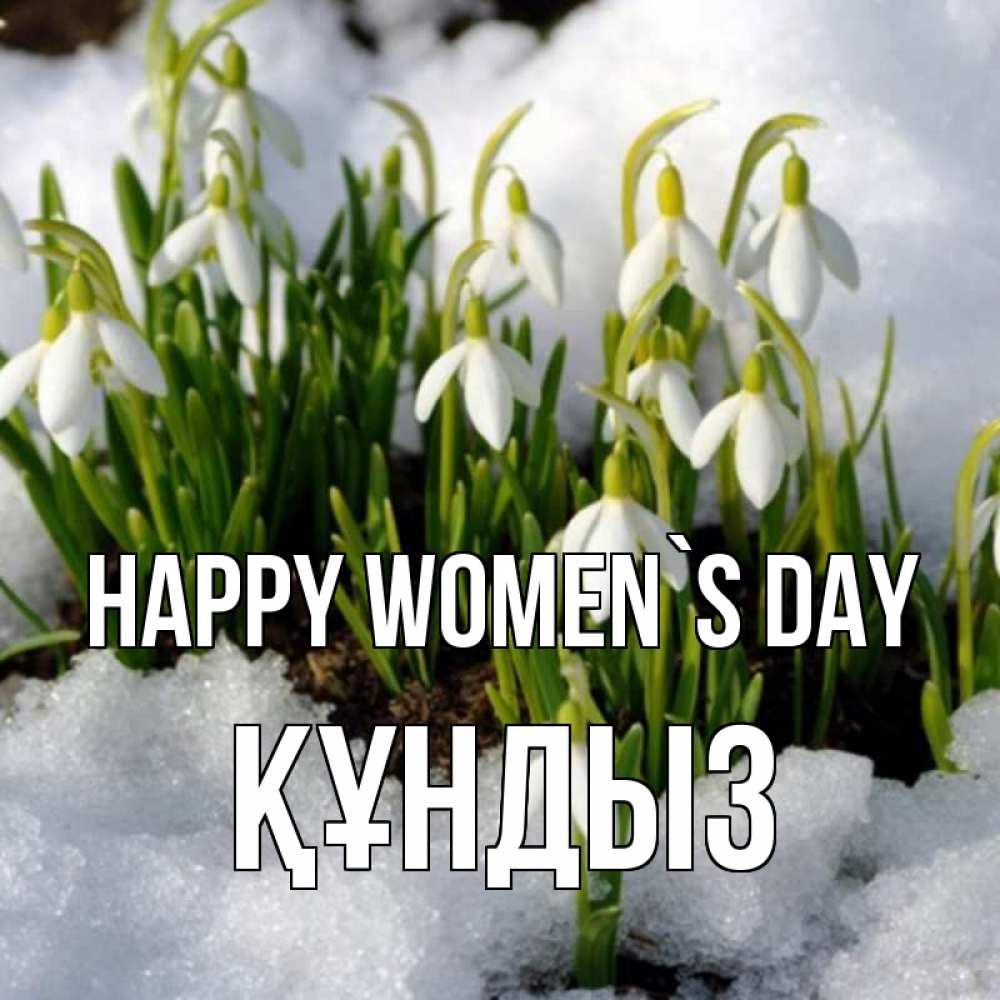 Greetings card с именем, ҚҰНДЫЗ happy women`s day цветы весенние Greetings with text for free download 